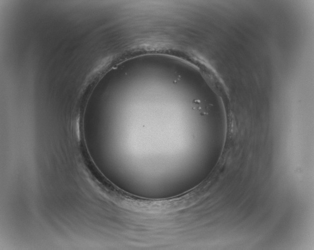 X0000067840019200604171204