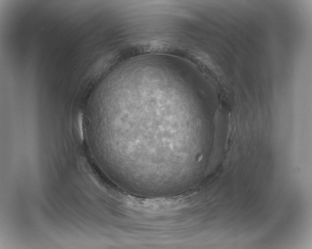 X0000067840022200604171204