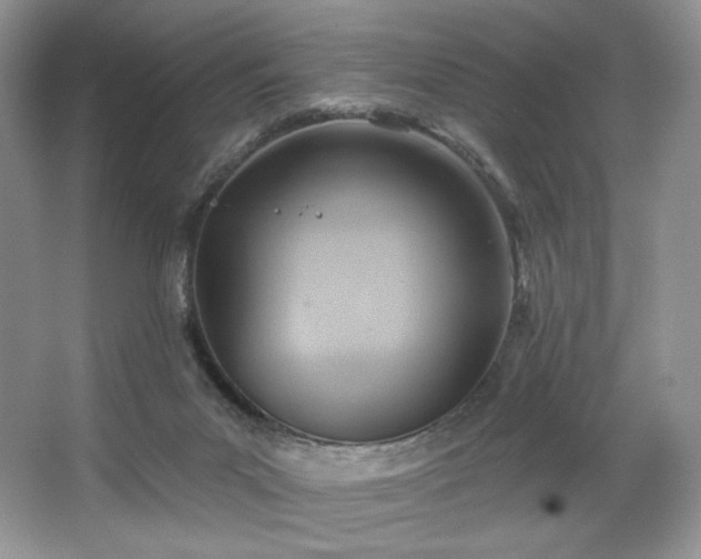 X0000067840023200604171204