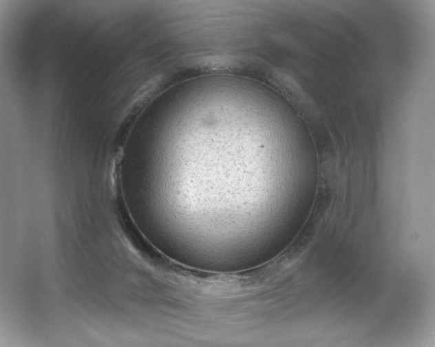 X0000067840024200604171204