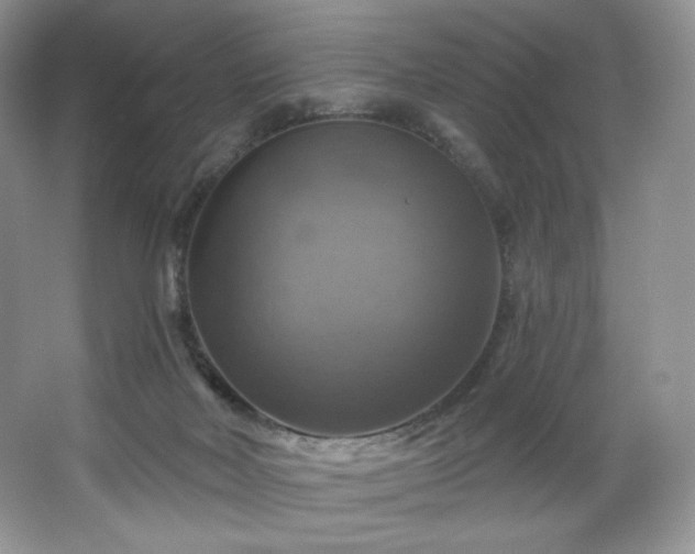 X0000067840026200604171204