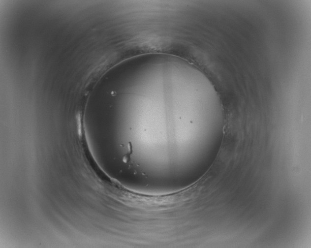 X0000067840027200604171204