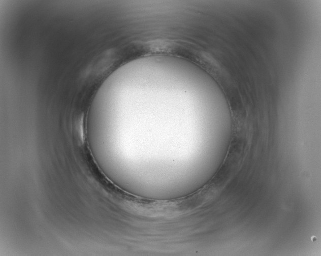 X0000067840028200604171204