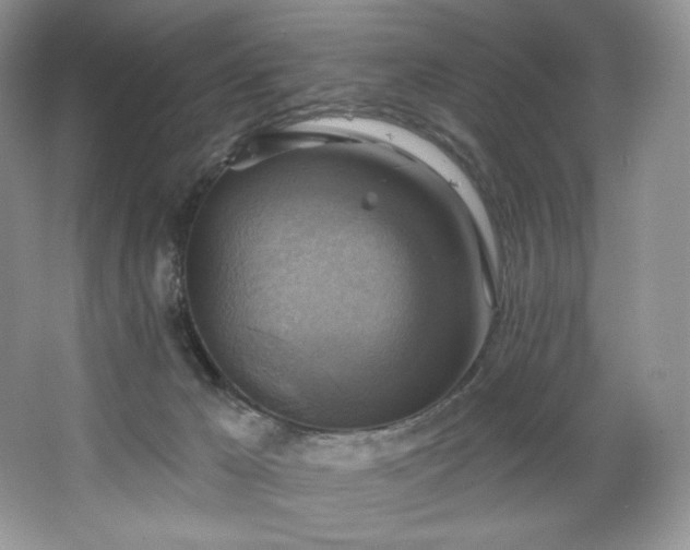 X0000067840029200604171204