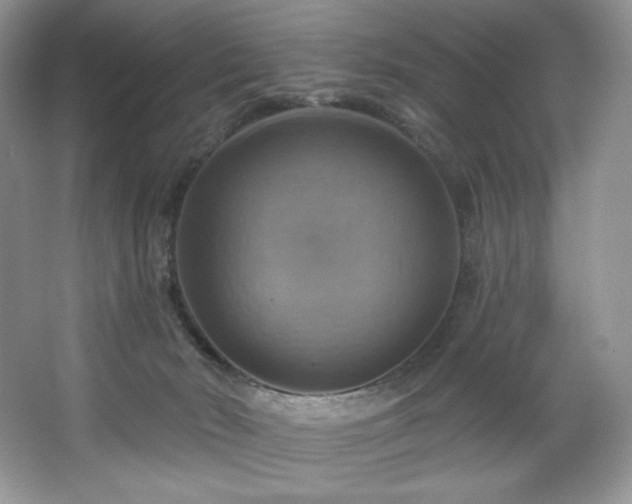 X0000067840030200604171204