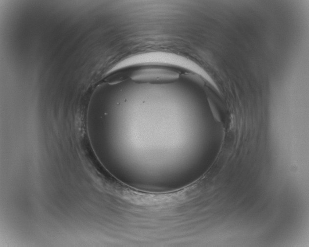 X0000067840031200604171204