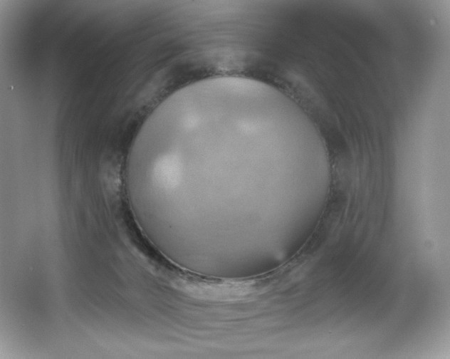 X0000067840032200604171204