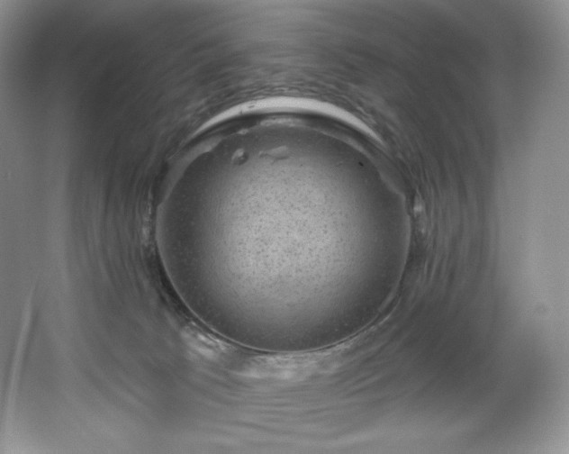 X0000067840033200604171204