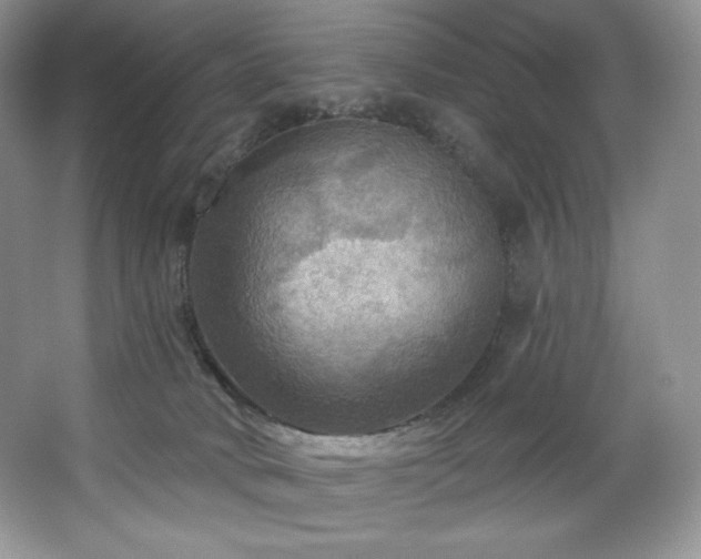 X0000067840034200604171204