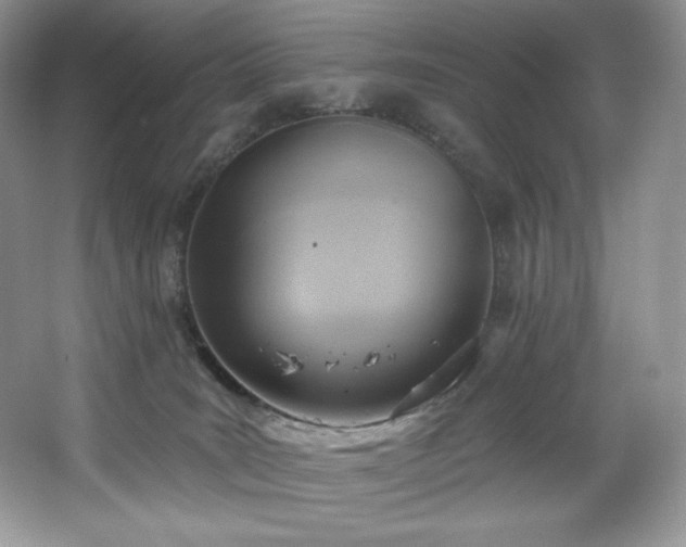 X0000067840035200604171204