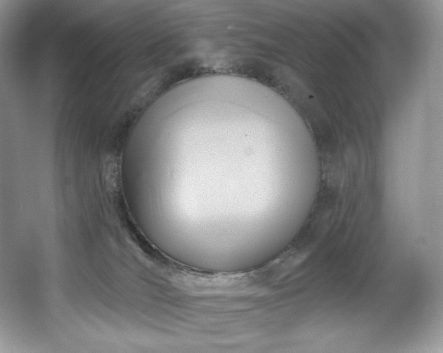 X0000067840036200604171204