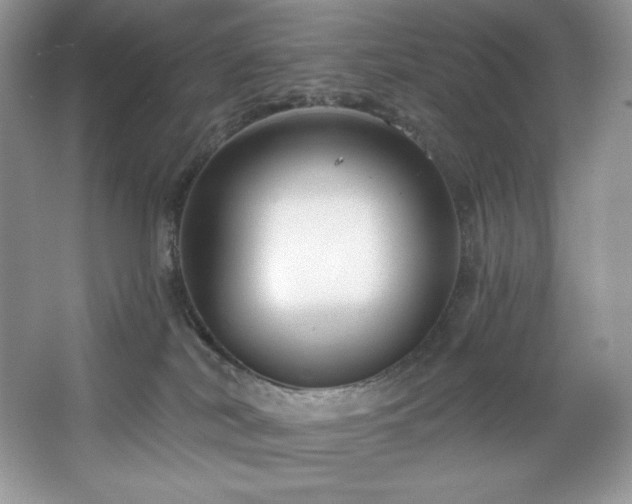 X0000067840038200604171204