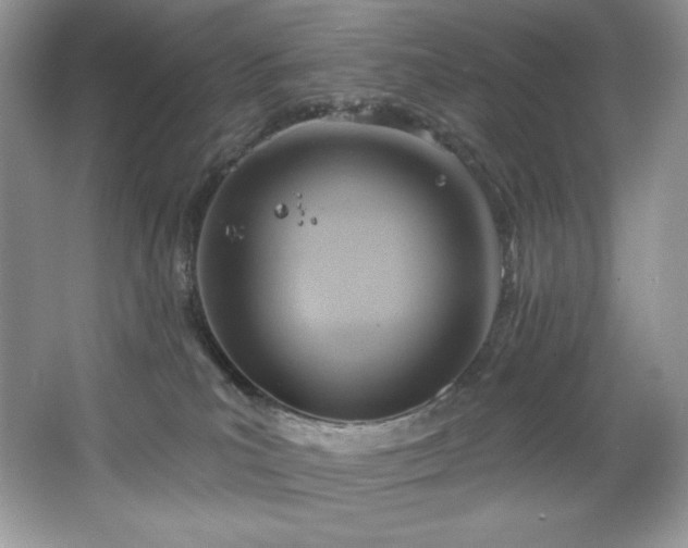 X0000067840039200604171204