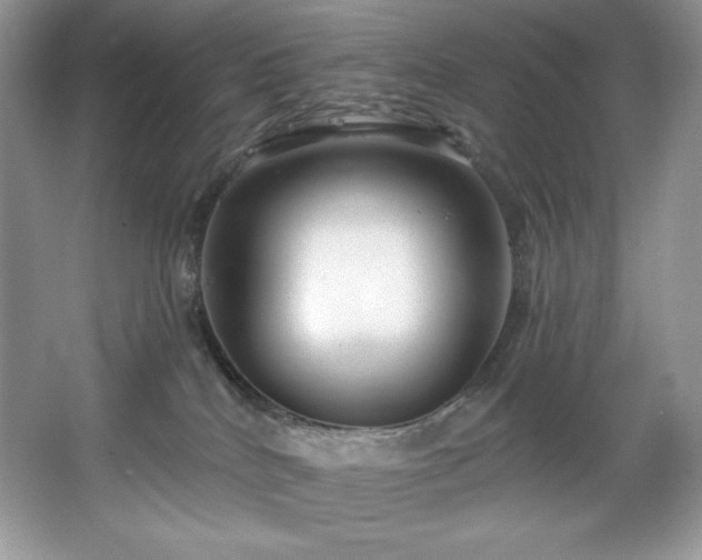 X0000067840040200604171204