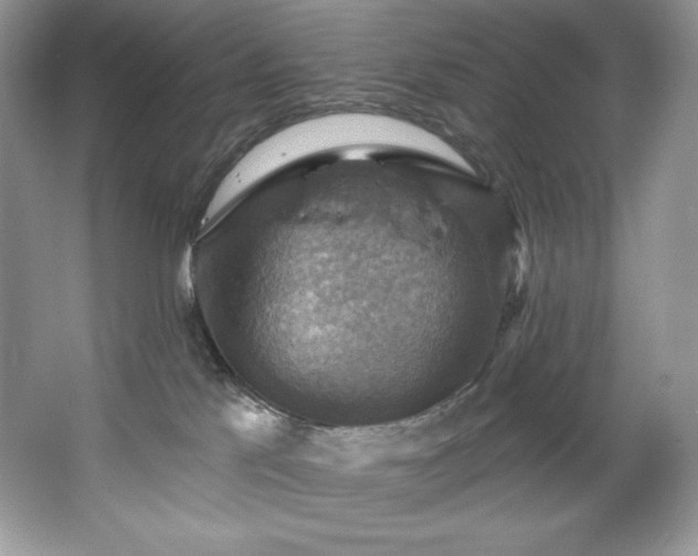 X0000067840041200604171204