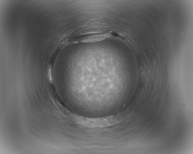 X0000067840042200604171204