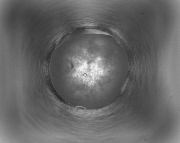 X0000067840043200604171204