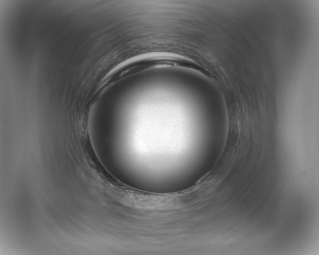 X0000067840044200604171204