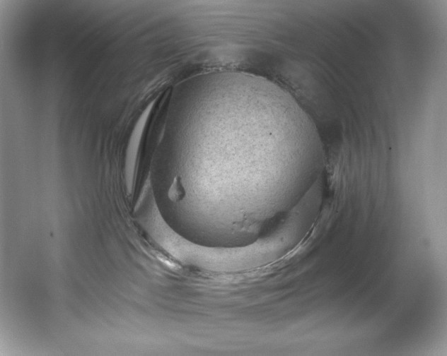 X0000067840045200604171204