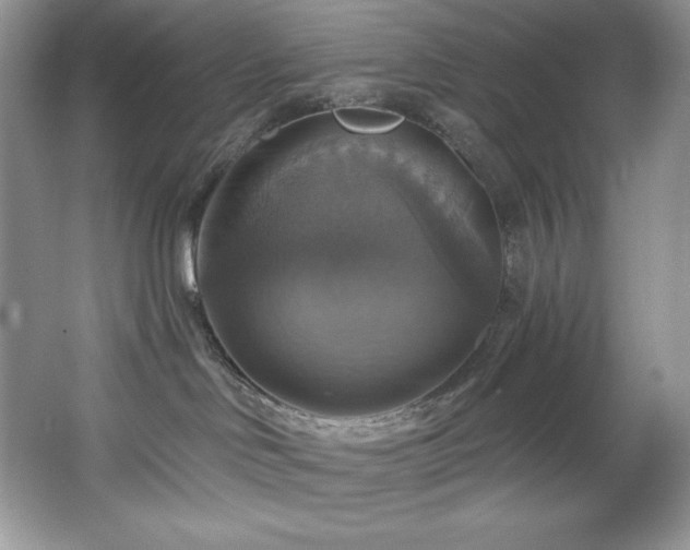 X0000067840046200604171204