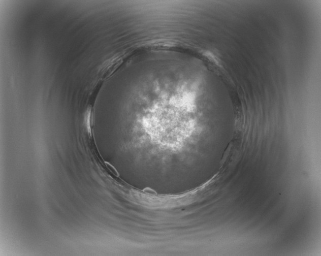 X0000067840047200604171204