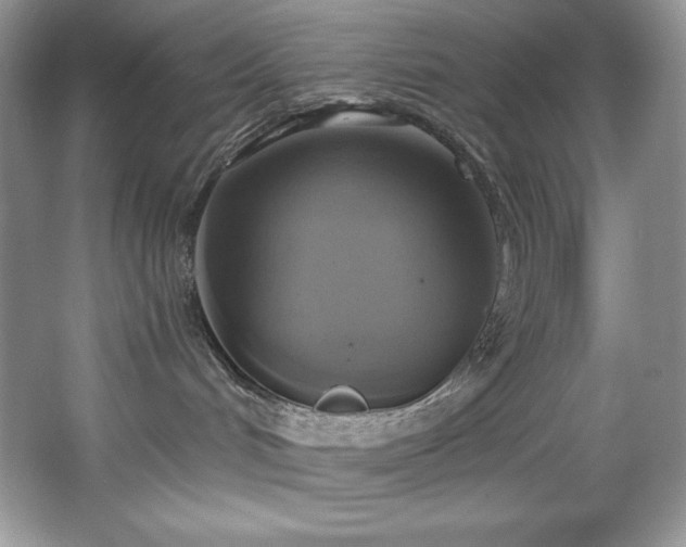 X0000067840048200604171204