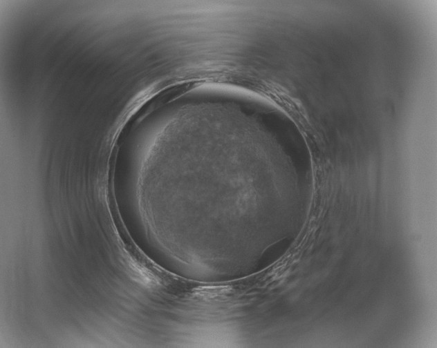 X0000067840051200604171203