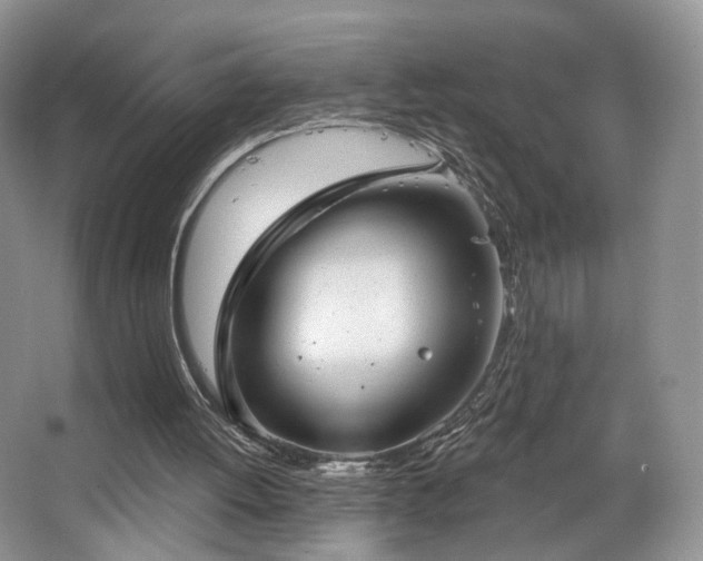 X0000067840052200604171203