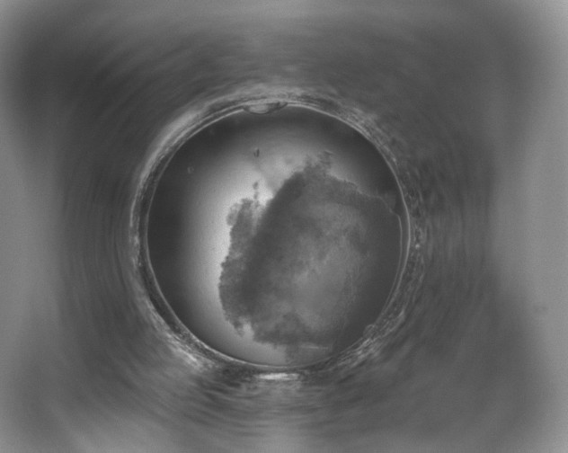 X0000067840053200604171203