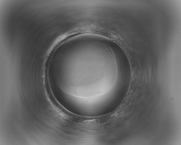 X0000067840054200604171203