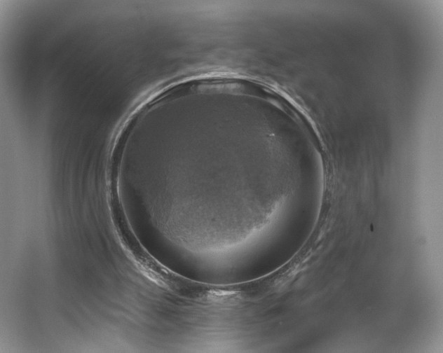 X0000067840055200604171203