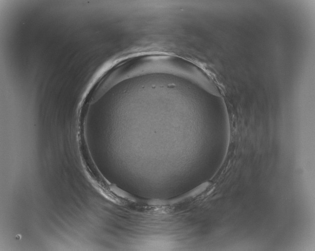 X0000067840056200604171203