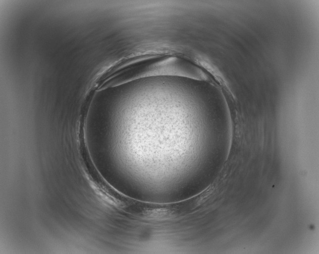 X0000067840058200604171203