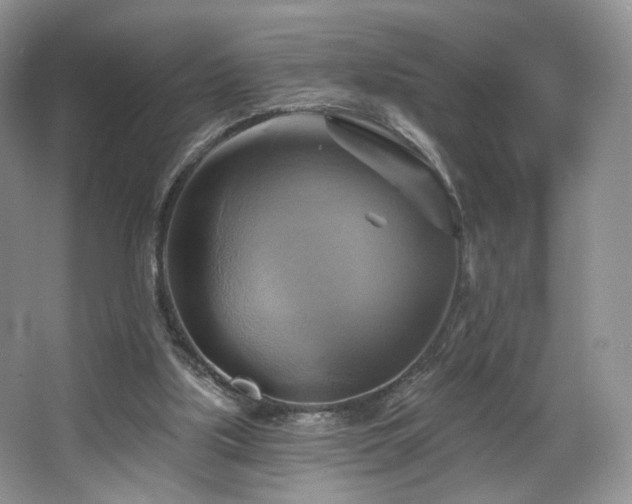 X0000067840059200604171203