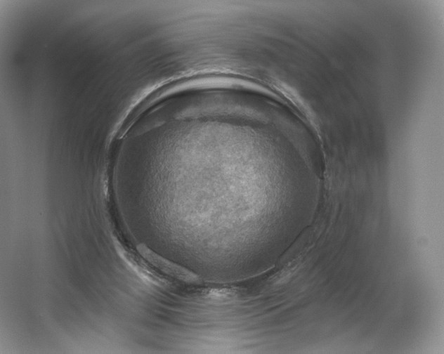 X0000067840060200604171203