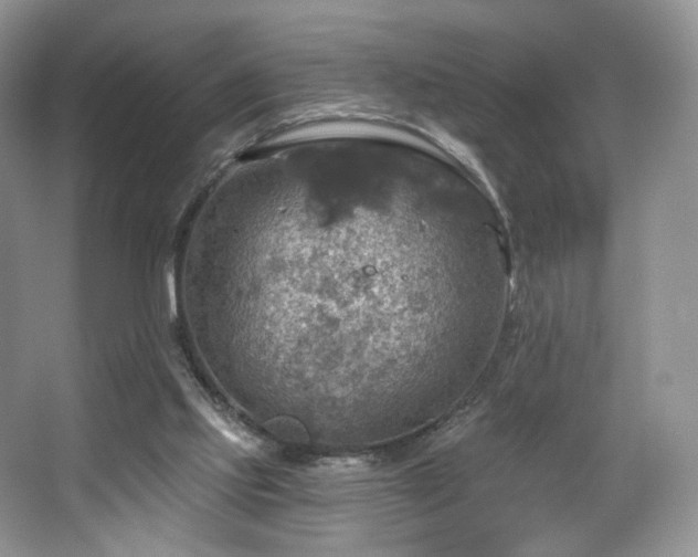 X0000067840061200604171203