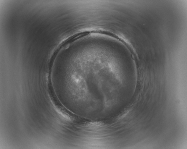 X0000067840063200604171203