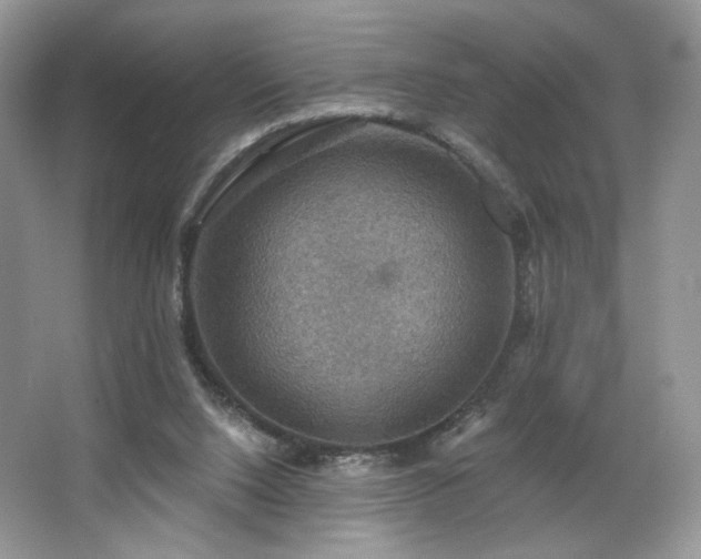 X0000067840064200604171203