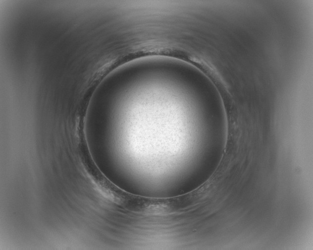 X0000067840066200604171203