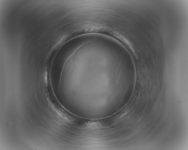 X0000067840067200604171203