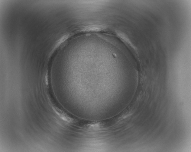 X0000067840068200604171203