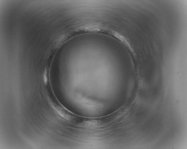 X0000067840069200604171203