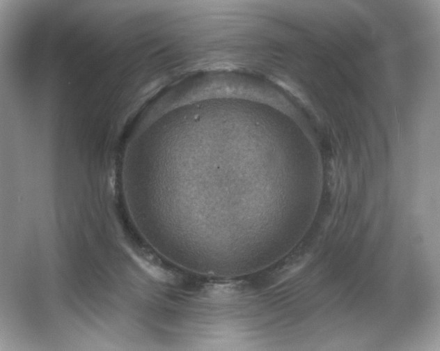 X0000067840072200604171203