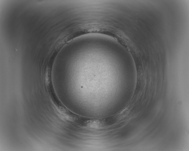 X0000067840074200604171203