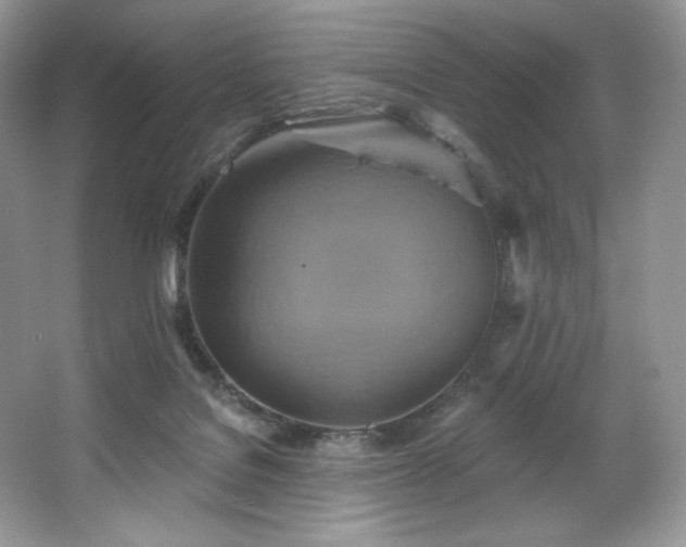 X0000067840076200604171204