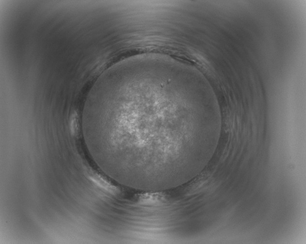 X0000067840077200604171204