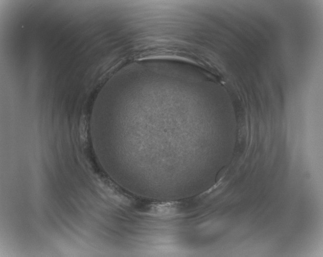 X0000067840078200604171204