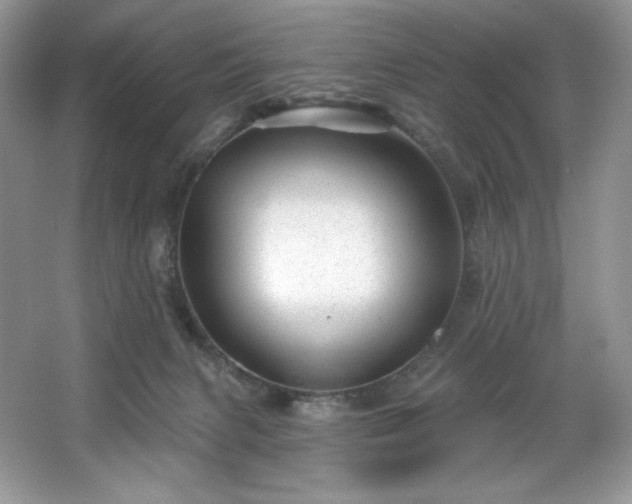 X0000067840079200604171204