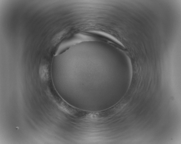 X0000067840080200604171204