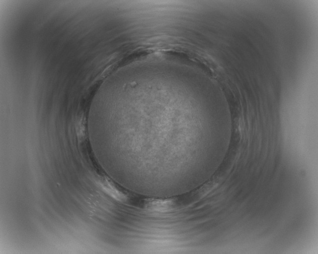 X0000067840081200604171204